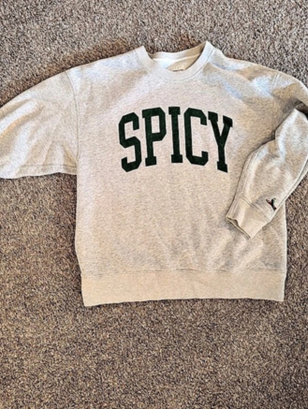 Abercrombie Spicy Oversized Crew Neck